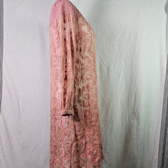 Sundance Lace Semi Sheer Tunic Dress SZ 4 Floral Motif Long Sleeve Romantic - Picture 4 of 14